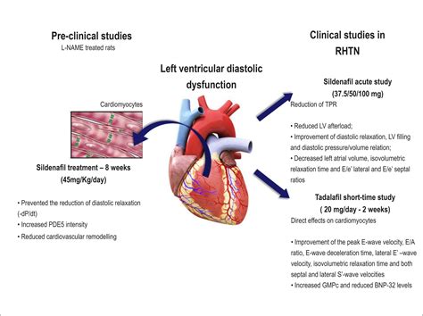 impaired lv systolic function|what is preserved systolic function.